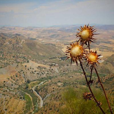 클래식 매니큐어 1